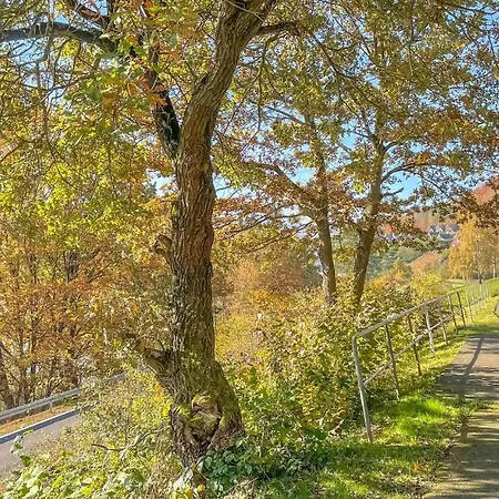 12 In Kirchheim Kirchheim (Hessen)